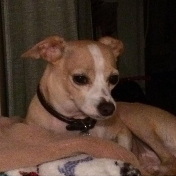 Meet your Posher, Mariann - Picture 2 of 4